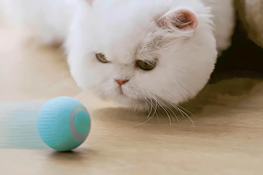 interactive cat ball